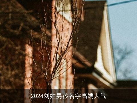 2024刘姓男孩名字高端大气